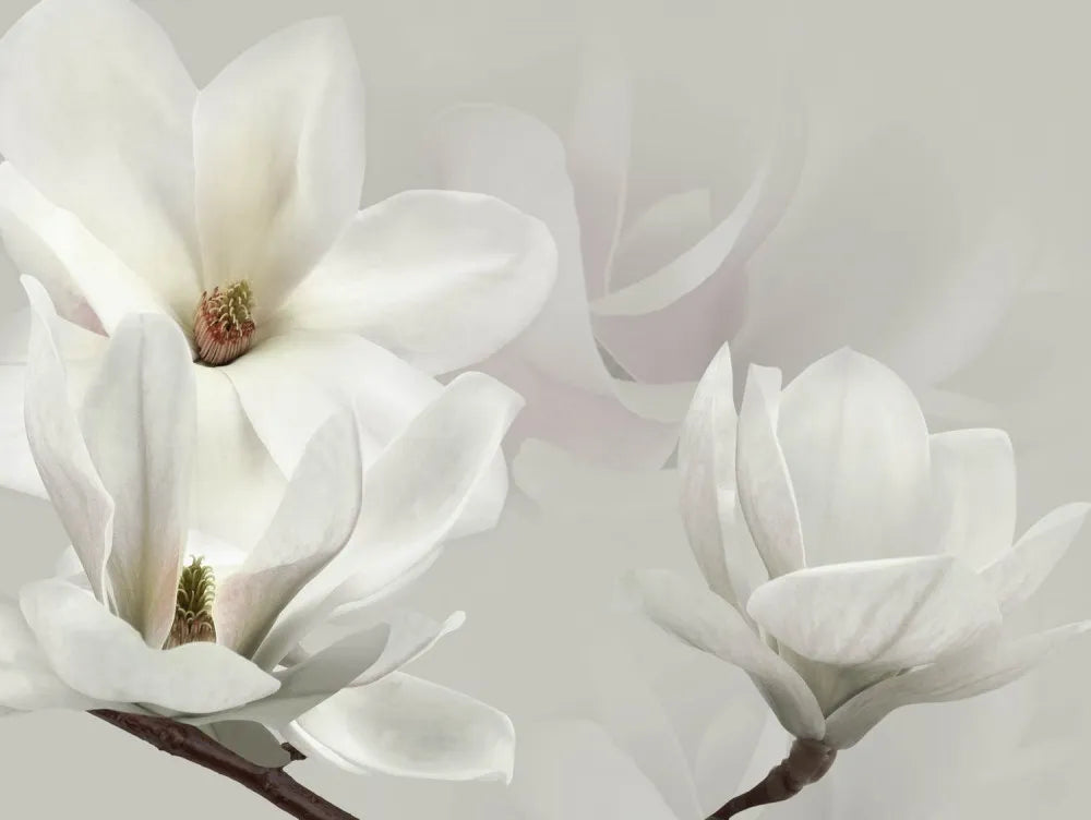 Bulk Magnolia 3D