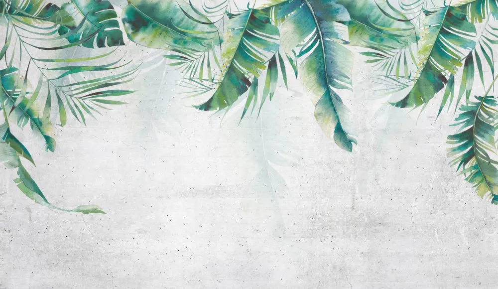 Leaves on concrete wall