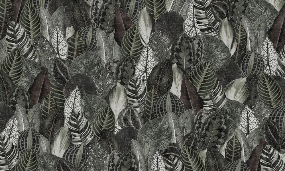 Tropical foliage