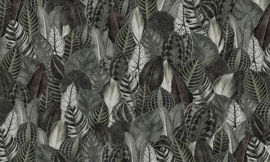 Tropical foliage