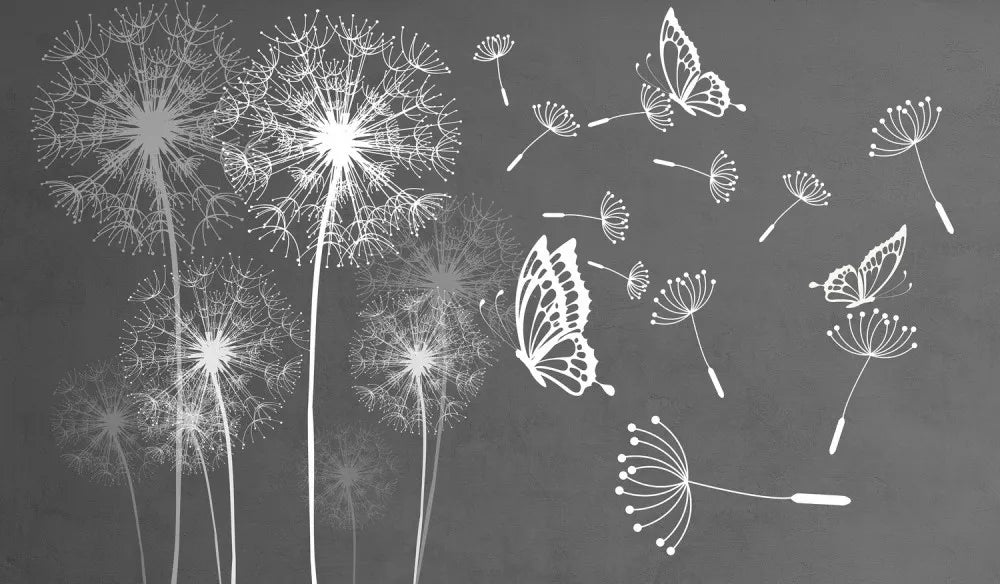 Dandelions graphic