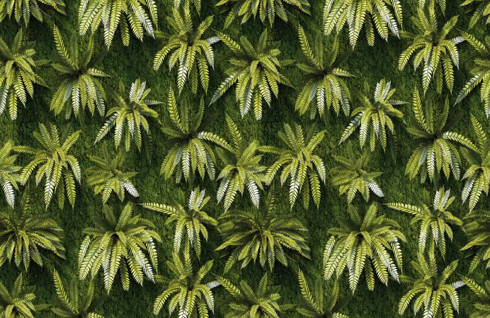 The leaves of the tropical