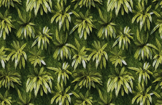 The leaves of the tropical