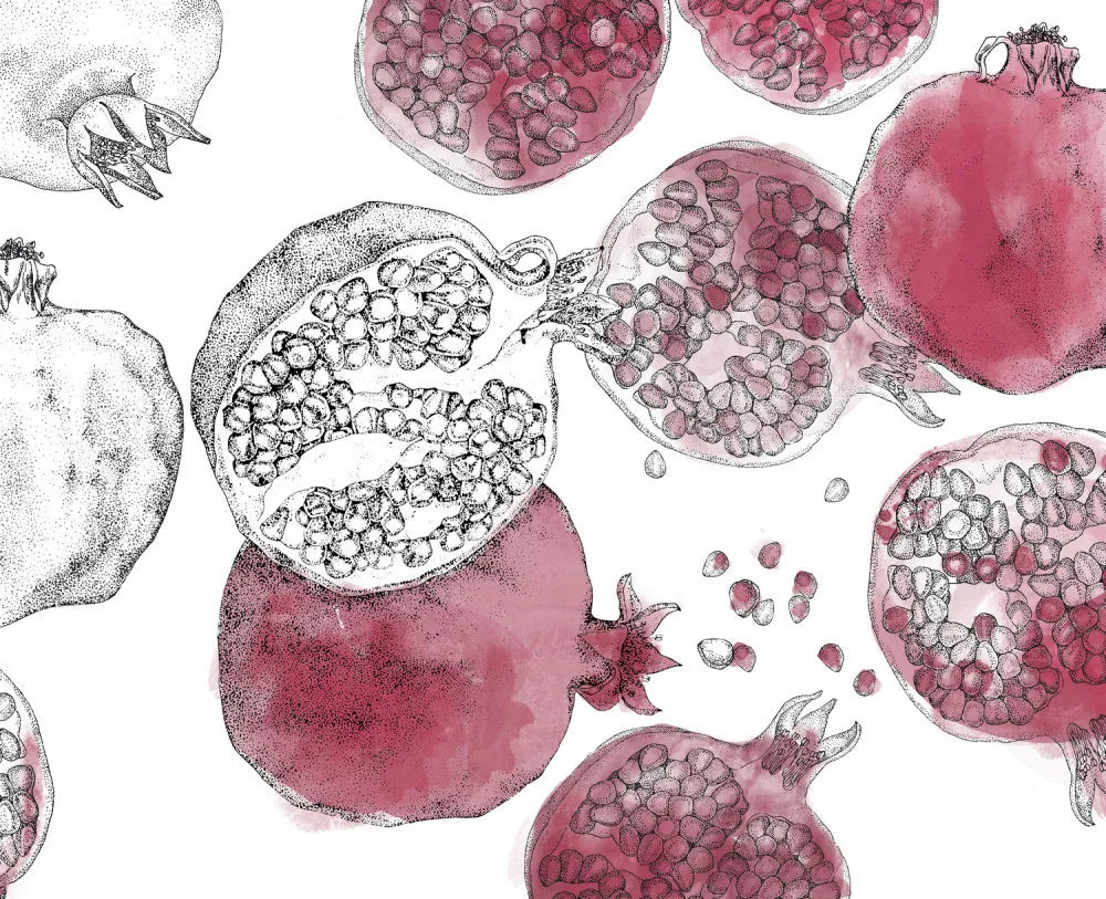 Pomegranate drawing
