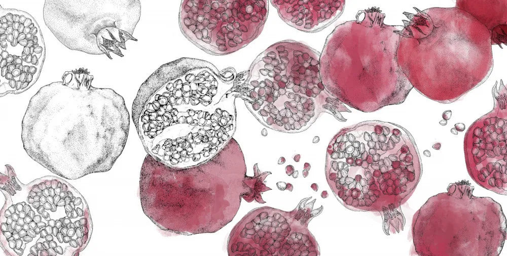 Hand-drawn pomegranate