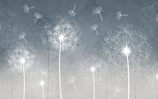 Dandelions on the background