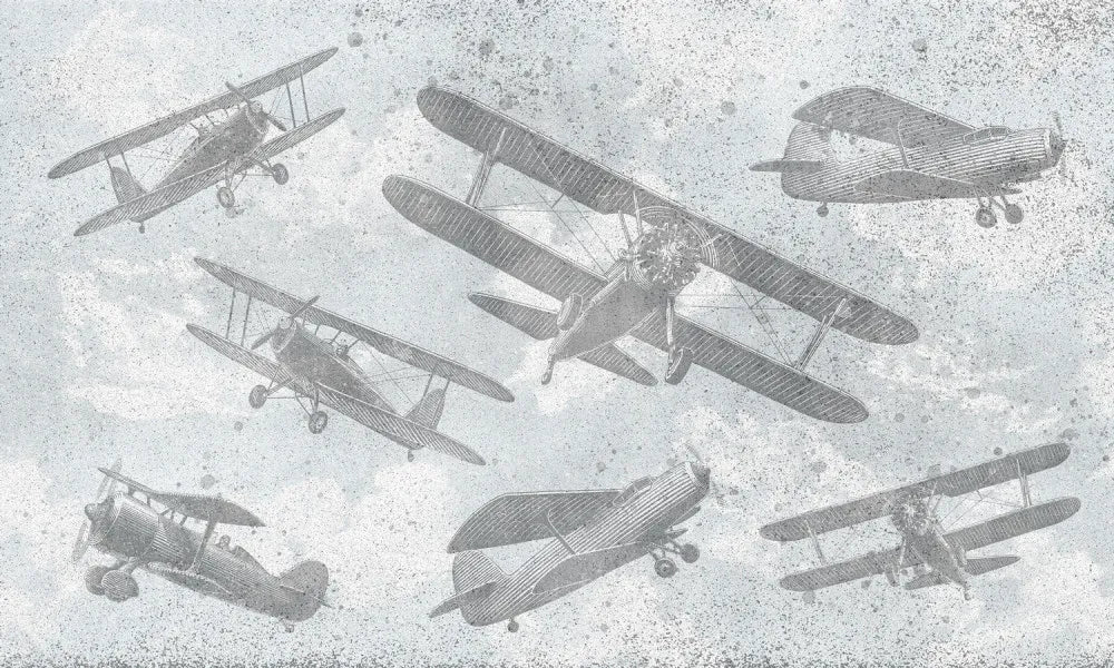 Aircraft, biplane