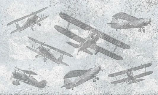Aircraft, biplane