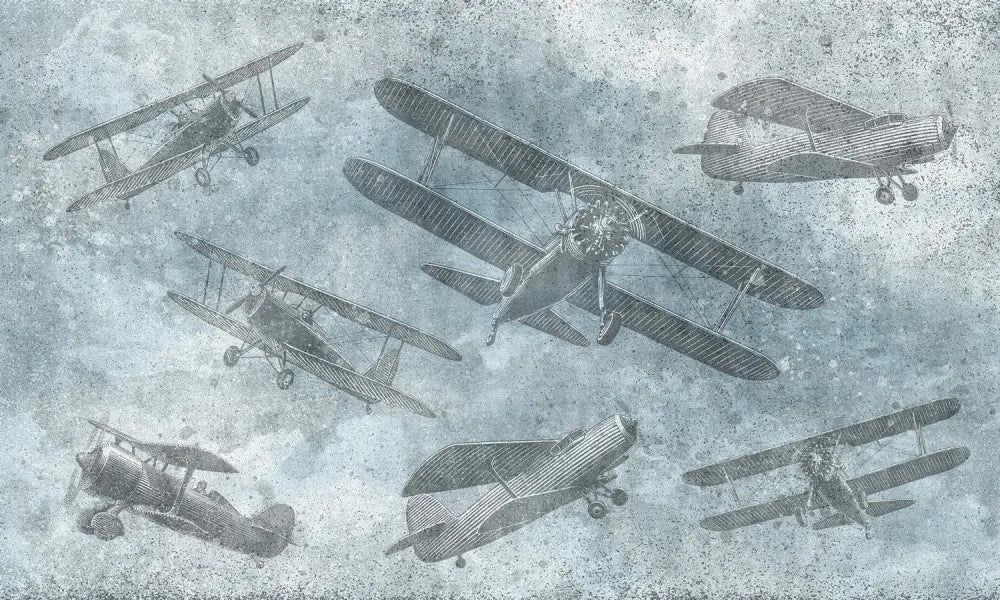 Aircraft, biplane