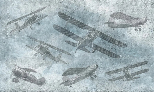 Aircraft, biplane