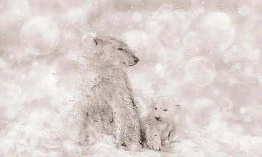 Polar bears