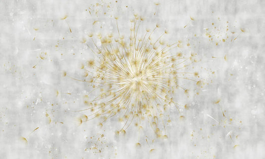 Sunny dandelion