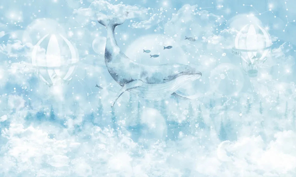 Kit in starry sky