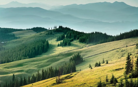 Sun valley