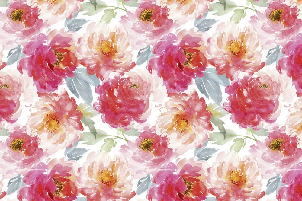 Peonies. watercolor