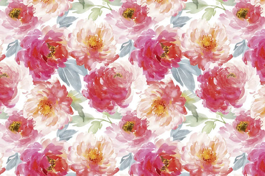Peonies. watercolor