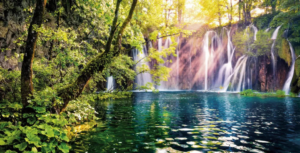 Waterfall in a Sunny forest