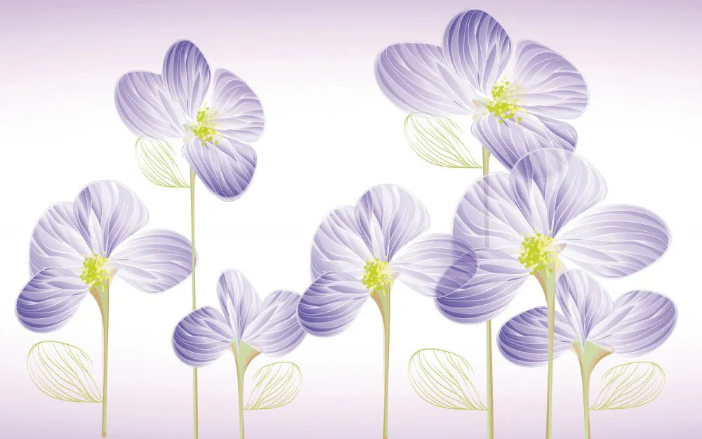 Blooming geraniums, drawing