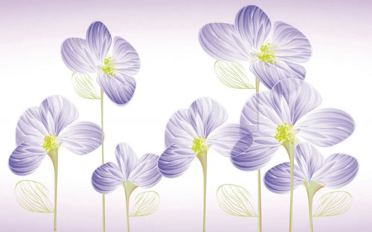 Blooming geraniums, drawing