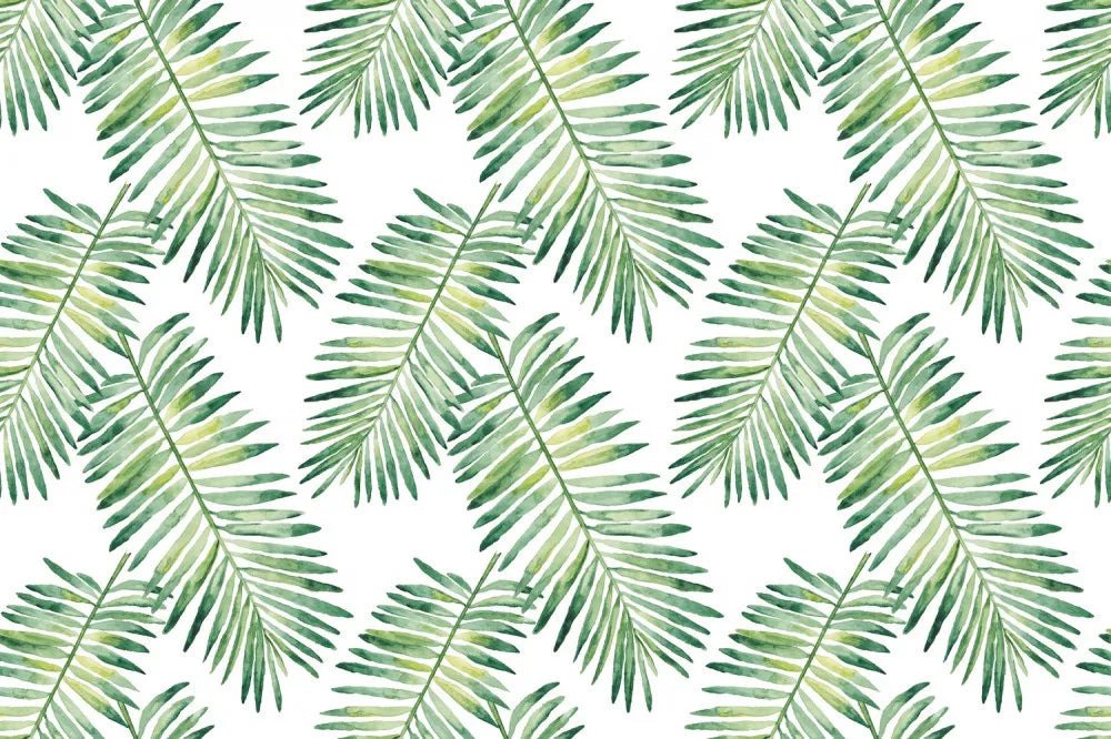 Palm leaves on white background