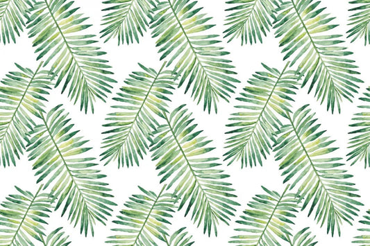 Palm leaves on white background
