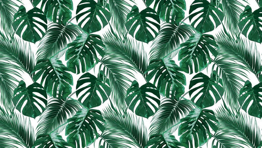Lush leaves on a white background