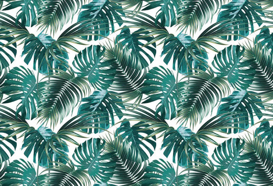Green monstera leaves