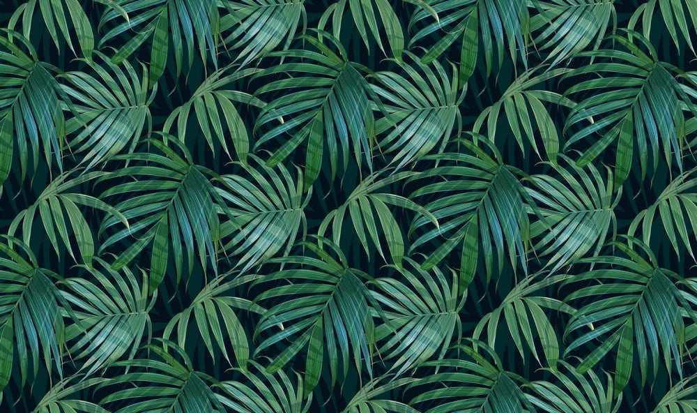 Large monstera leaves