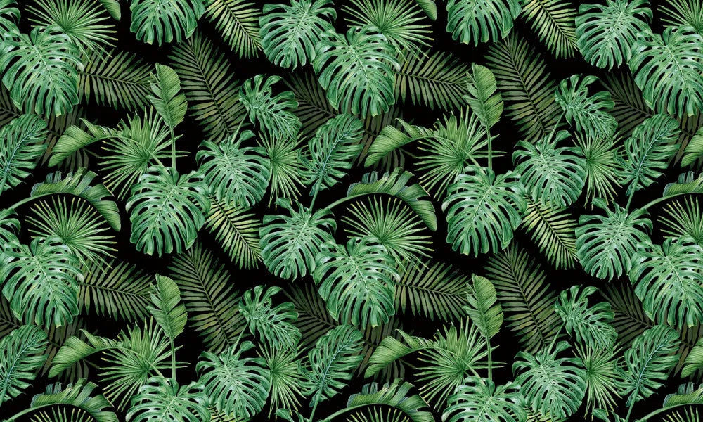 Emerald rainforest