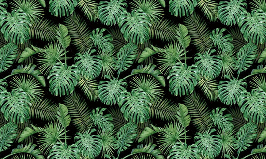 Emerald rainforest
