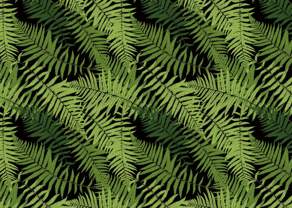 Fern leaves