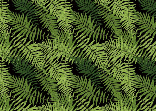 Fern leaves