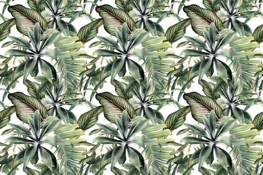 Young tropical leaves