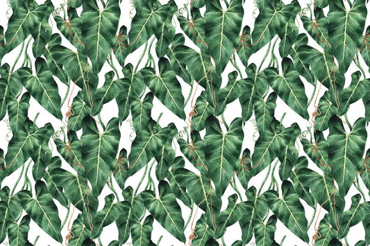 Exotic thicket
