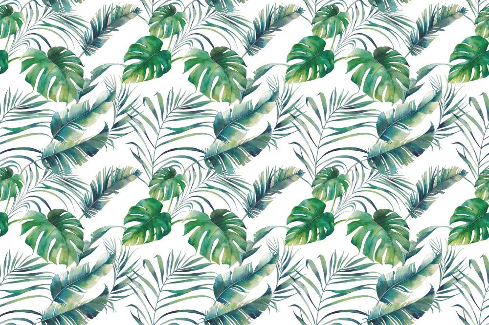 Tropical leaves on a white background