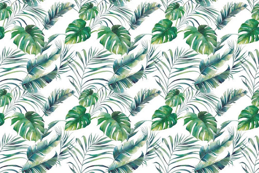 Tropical leaves on a white background