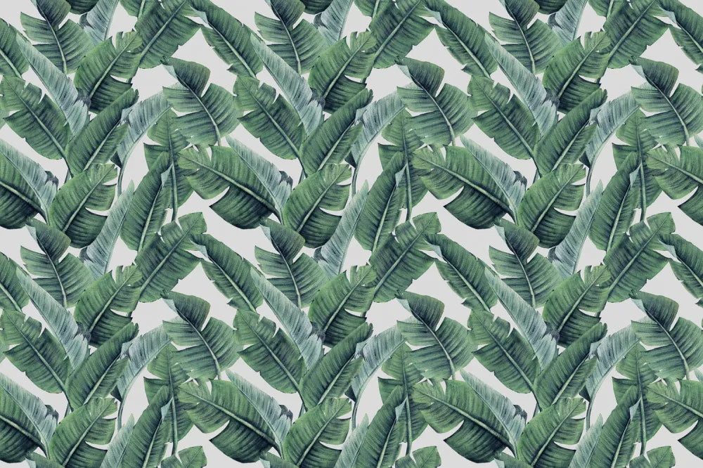 Tropical foliage