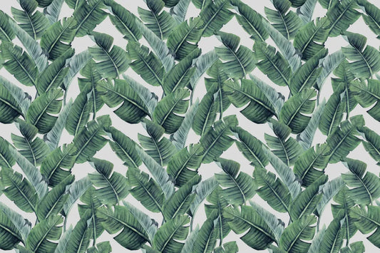 Tropical foliage