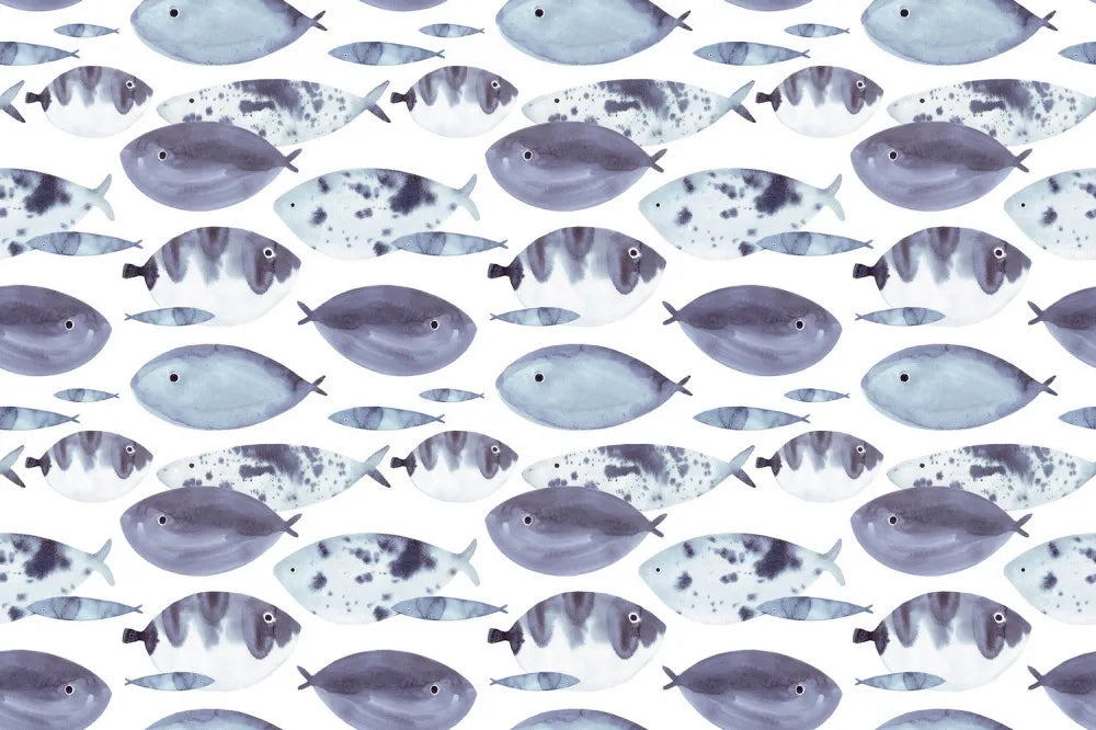 Beautiful fish