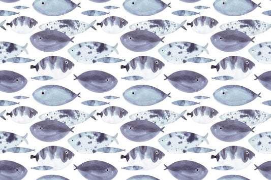 Beautiful fish