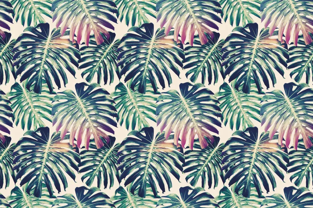 Monstera leaves pattern