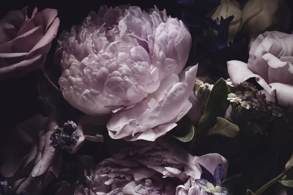 Pink peonies