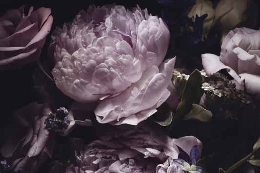 Pink peonies