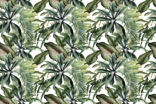 Tropical green leaves