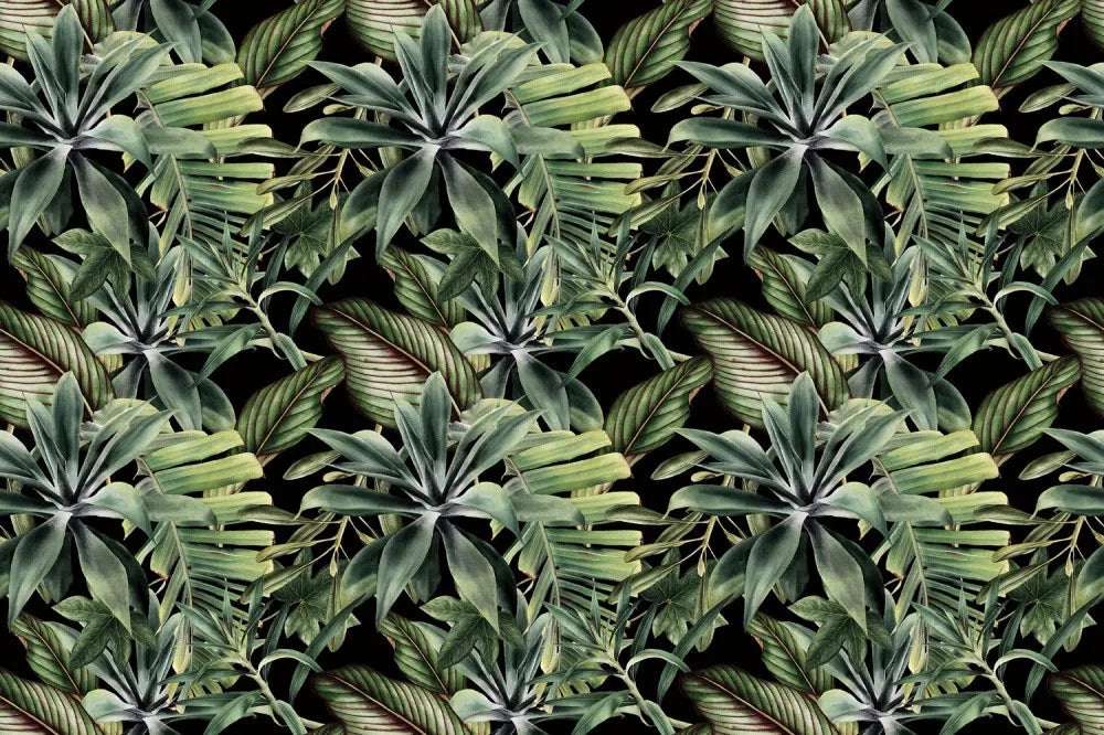 Tropical fantasy