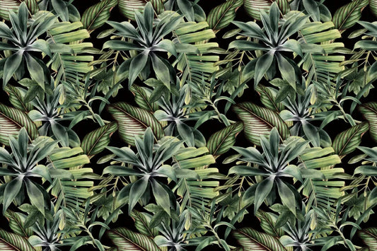 Tropical fantasy