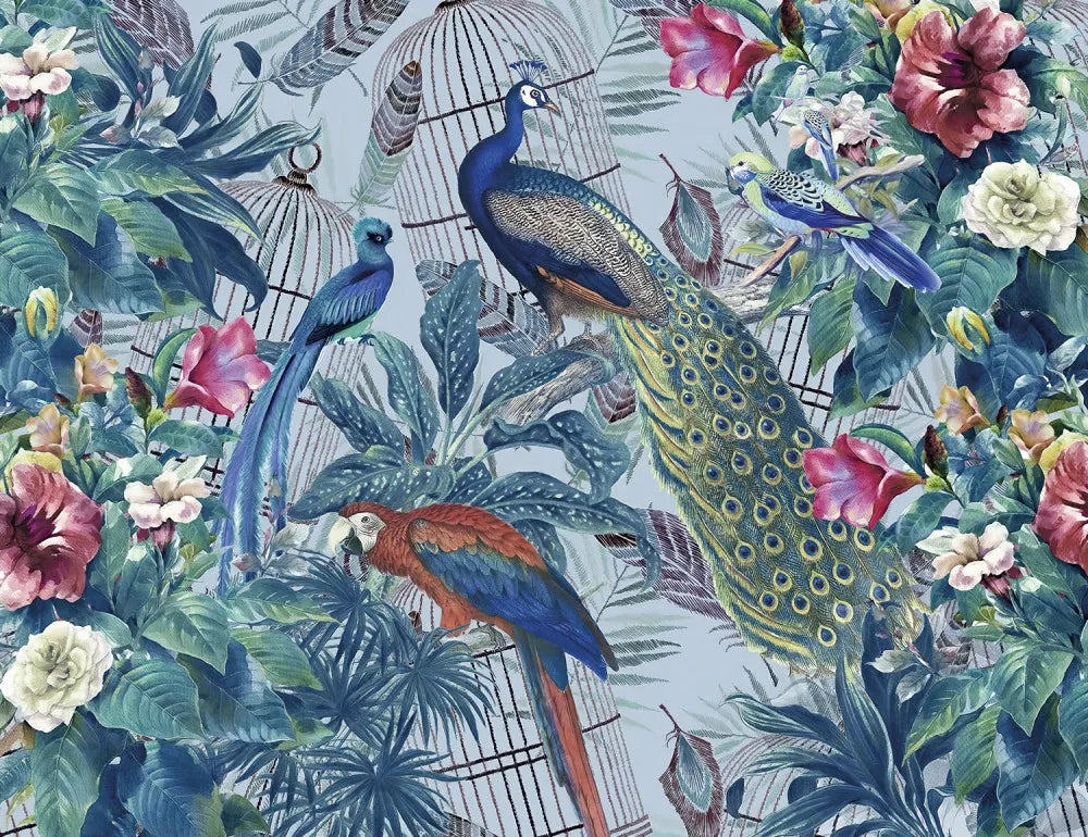 Beautiful birds in the garden