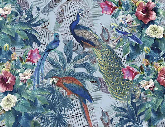 Beautiful birds in the garden
