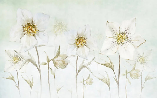 Morning flowers