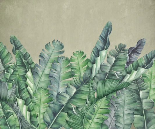 Banana plantation
